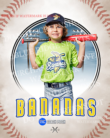 BANANAS 041 of 41