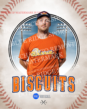 BISCUITS 022 of 45
