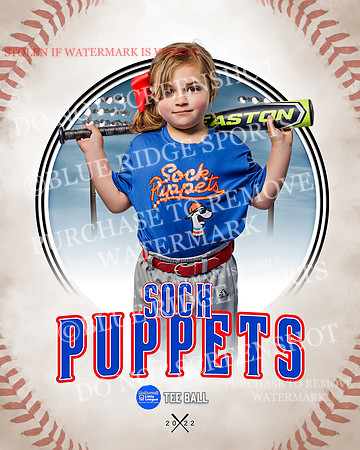 SOCK PUPPETS 029 of 45