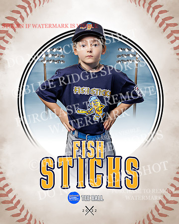 FISH STICKS 039 of 46
