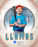 LLAMAS 002 of 42