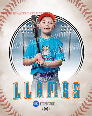 LLAMAS 002 of 42