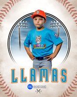 LLAMAS 018 of 42