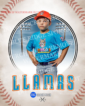 LLAMAS 018 of 42